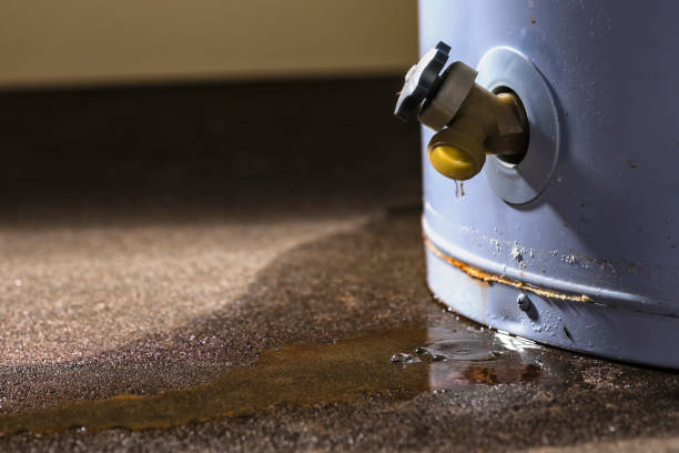 Best Local water damage restoration  in Fruitport, MI