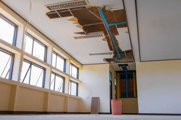Best Water damage contractors near me  in Fruitport, MI