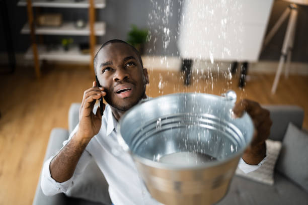 Best Water damage restoration near me  in Fruitport, MI