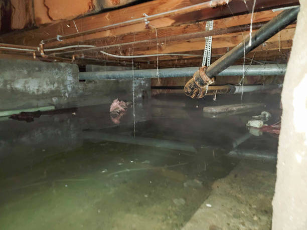 Reliable Fruitport, MI Water damage restoration Solutions