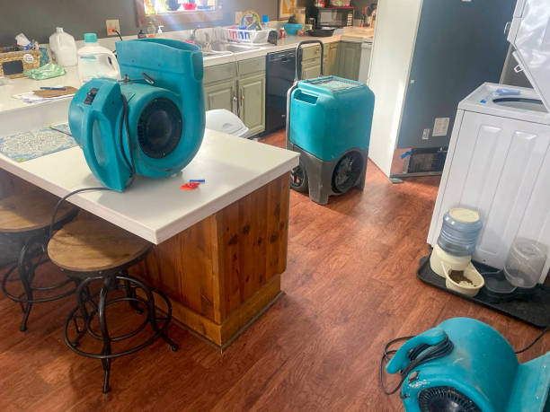 Best Commercial water damage restoration  in Fruitport, MI