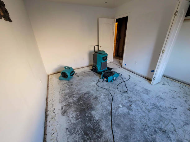 Best 24/7 water damage repair  in Fruitport, MI
