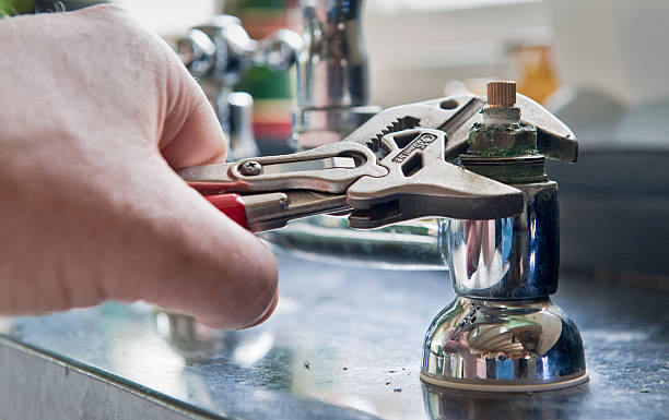 Best Flooded house restoration  in Fruitport, MI