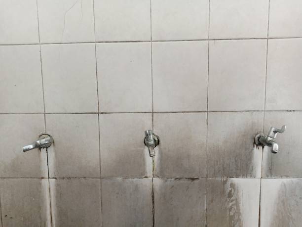 Best 24-hour water damage restoration  in Fruitport, MI