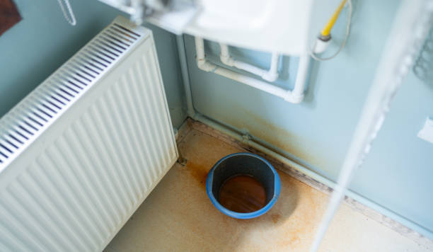 Best Fire Damage Restoration  in Fruitport, MI